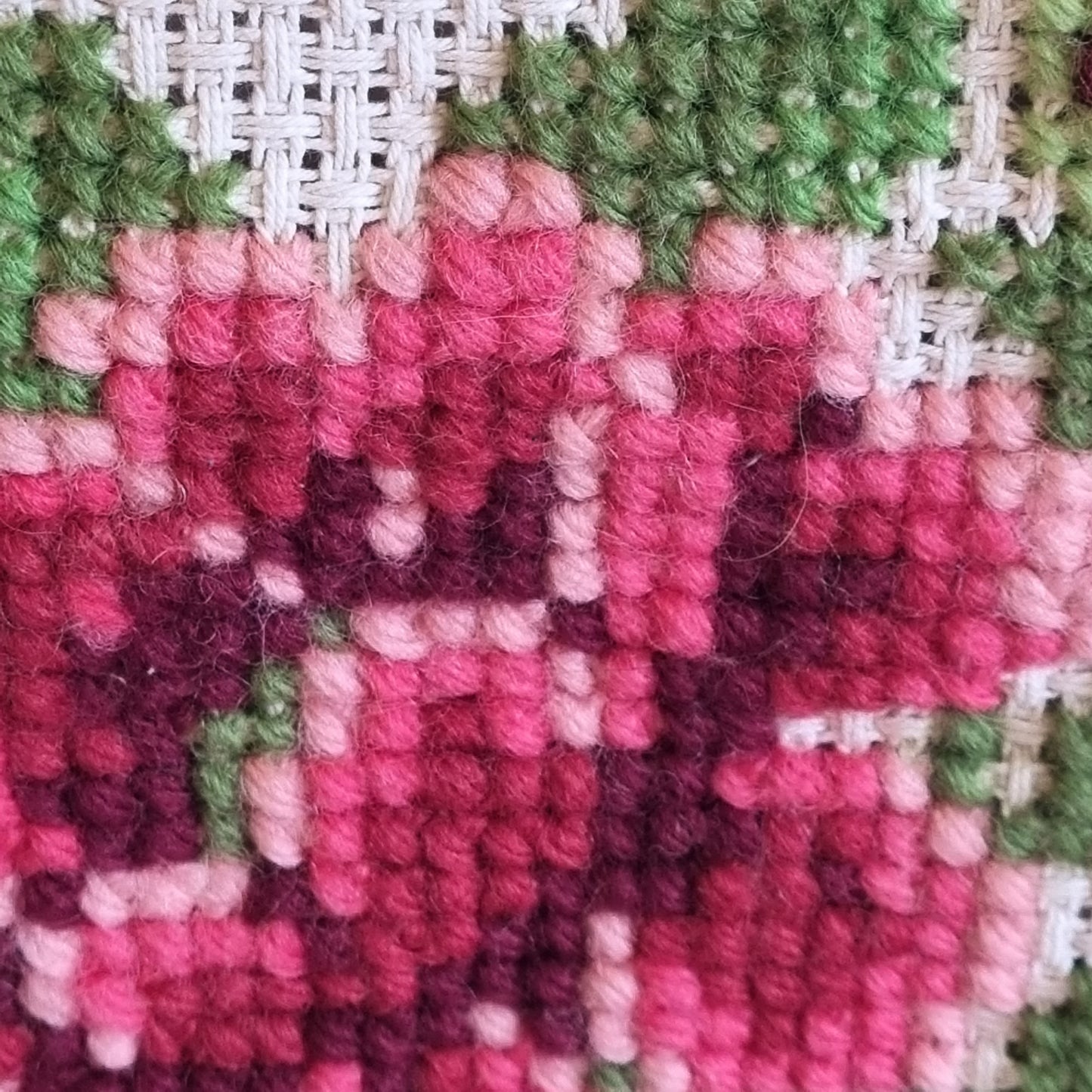 Close-up detail of lower crimson rose and green foliage with black border edge