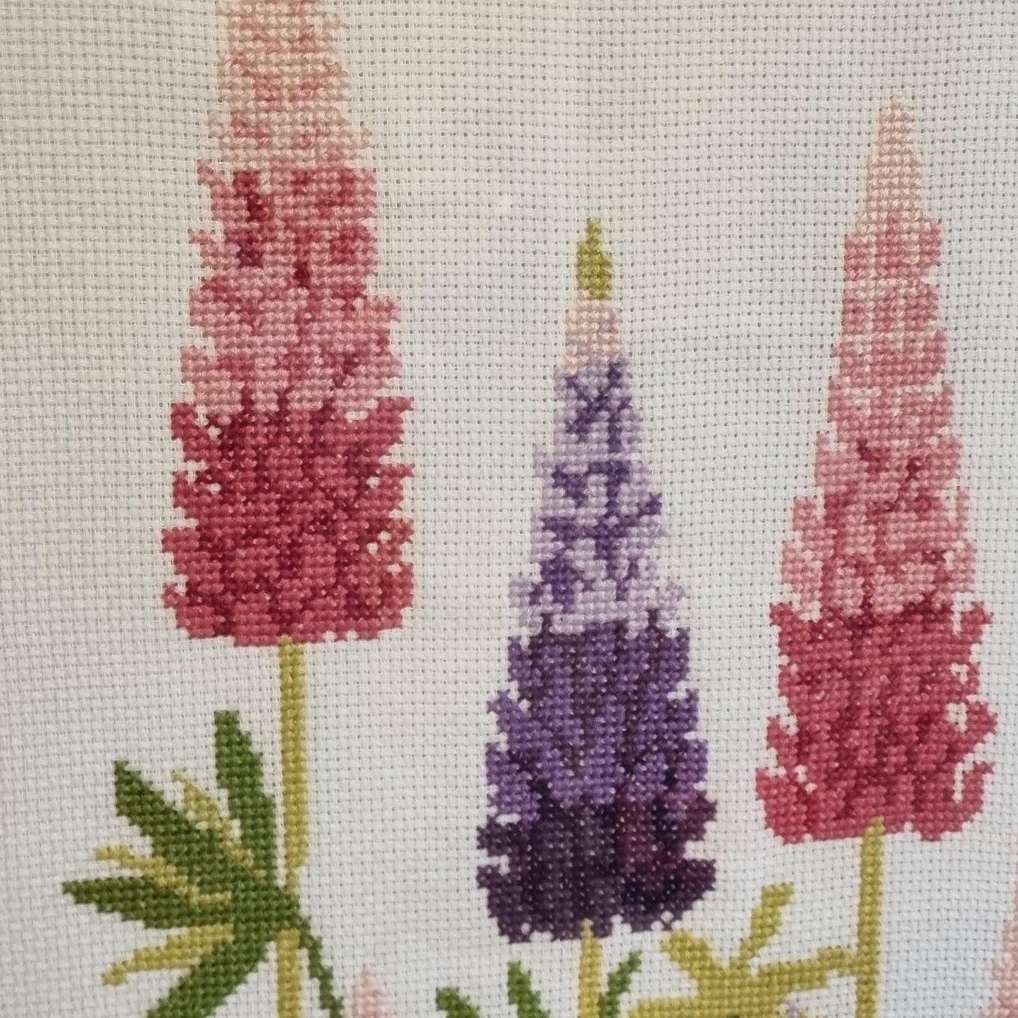 Framed Cross Stitch Lupine Flowers Wall Art Scandinavian Floral Needlework Sweden