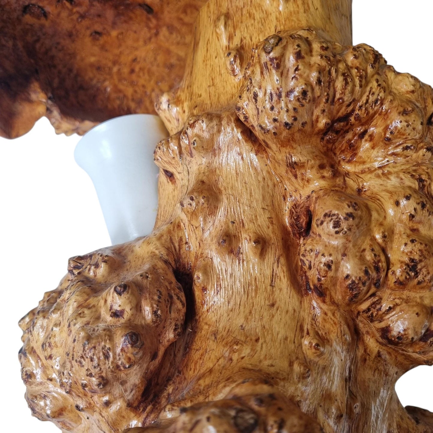 One of a Kind Burl Wood Mushroom Lamp, Organic Modern Root Sculpture, Hand Carved Artisan Table Lamp, Rustic Luxury Statement Lighting