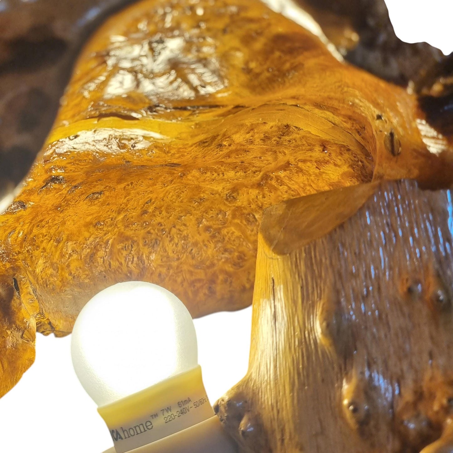 One of a Kind Burl Wood Mushroom Lamp, Organic Modern Root Sculpture, Hand Carved Artisan Table Lamp, Rustic Luxury Statement Lighting